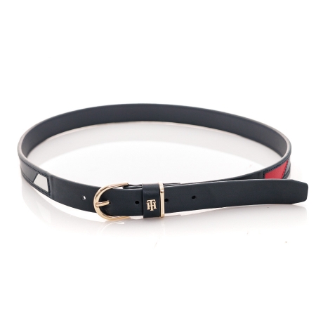 Picture of Tommy Hilfiger AW0AW12138 DW5