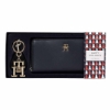 Picture of Tommy Hilfiger AW0AW14004 DW6
