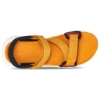Picture of Teva Zymic 1124049-Gobn