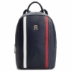 Picture of Tommy Hilfiger AW0AW15115 DW6